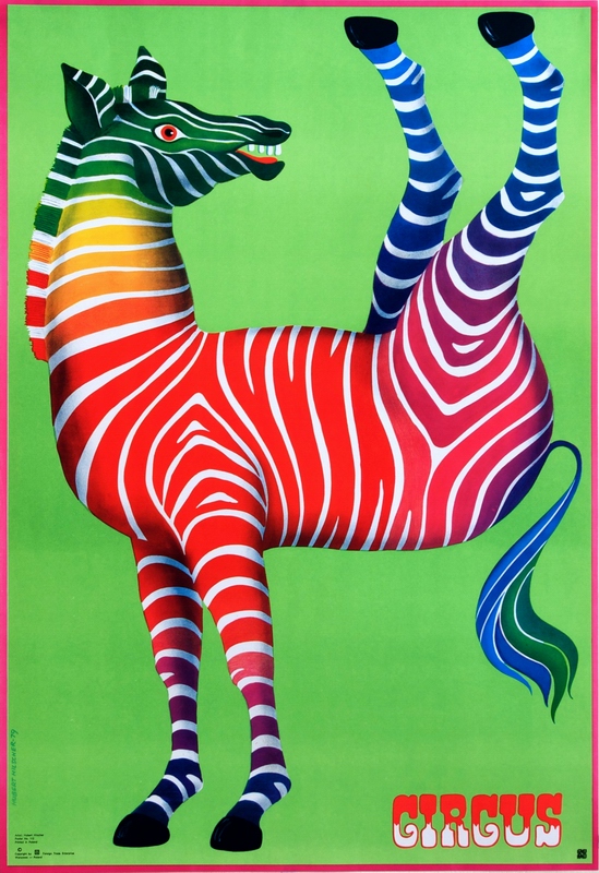 Cyrk Zebra