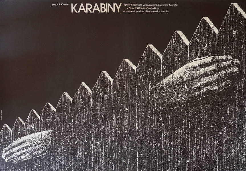 Karabiny, Rifles, Majewski Lech Karabiny, Rifles, Majewski Lech