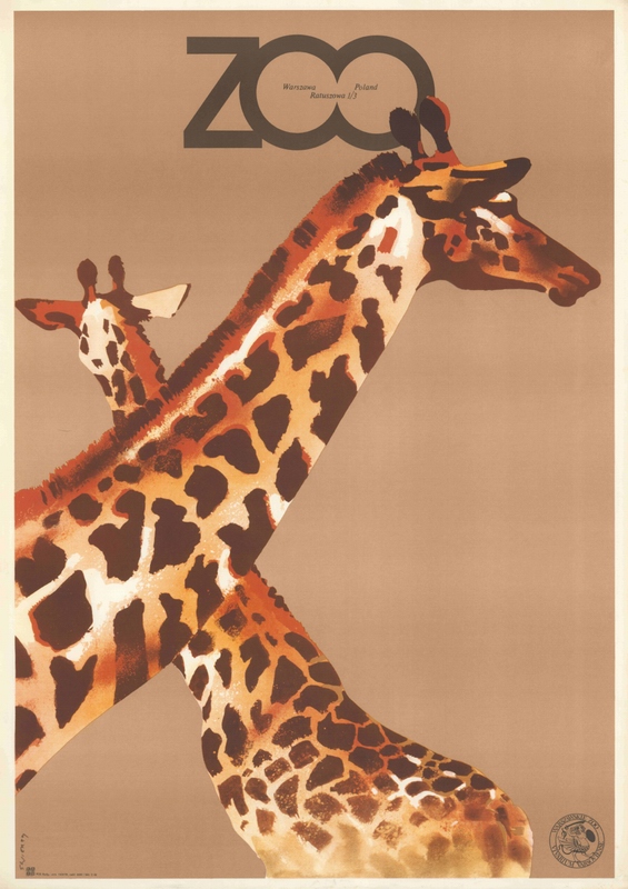 ZOO Żyrafy, ZOO Girafes, Swierzy Waldemar ZOO Żyrafy, ZOO Girafes, Swierzy Waldemar